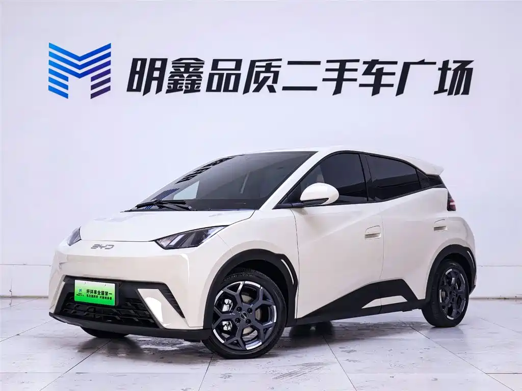 BYD Seagull 2025