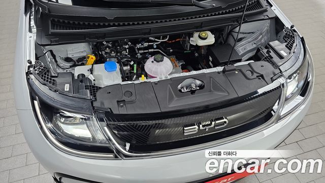 BYD Dolphin 2026