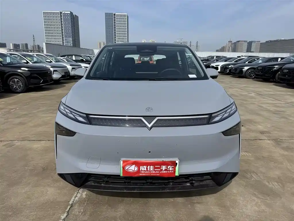 Venucia VX6 2024