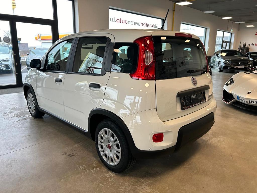 Fiat Panda 2023