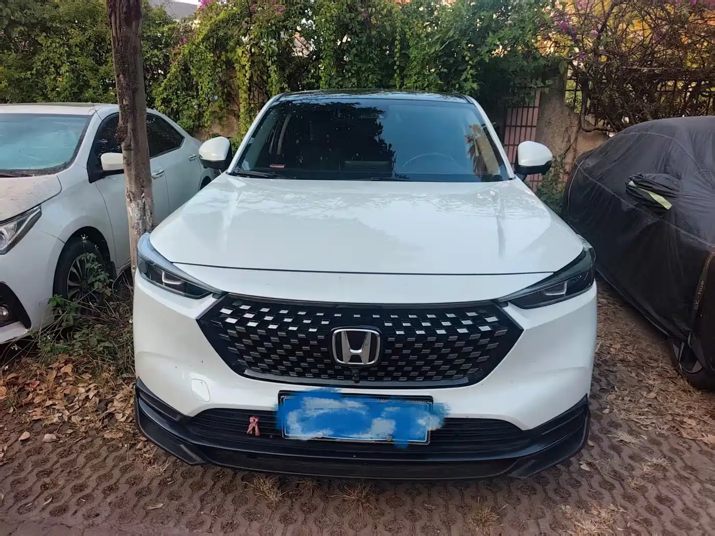 Honda XR-V 2023