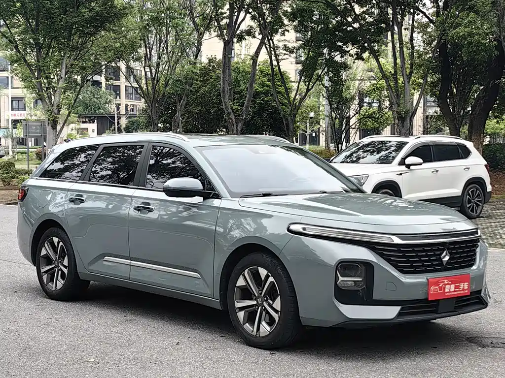Baojun Valli 2021