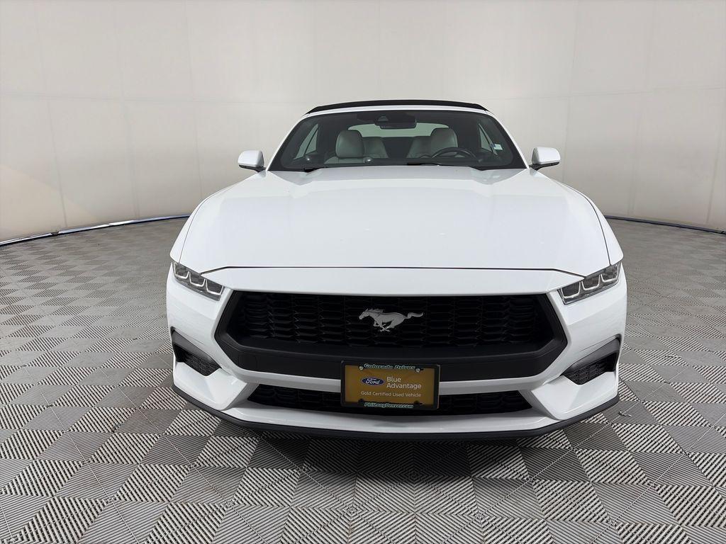 Ford Mustang 2024