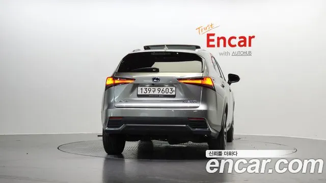 Lexus NX 2020
