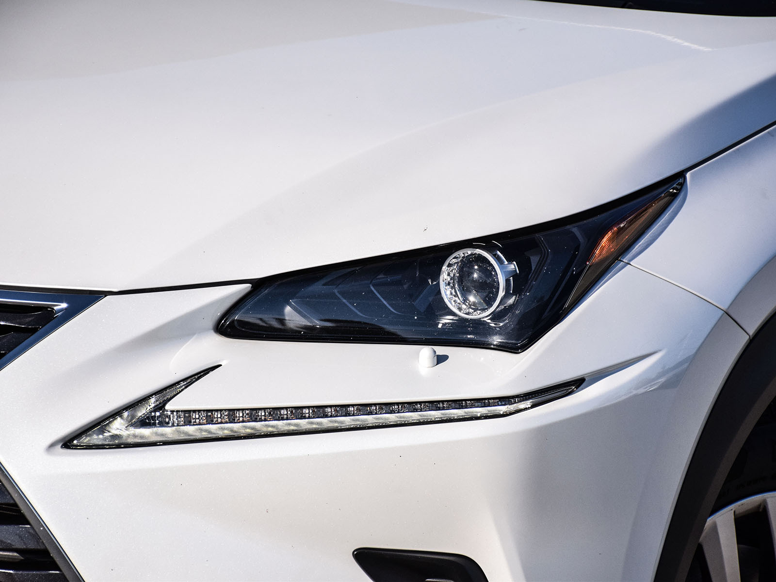 Lexus NX 2021