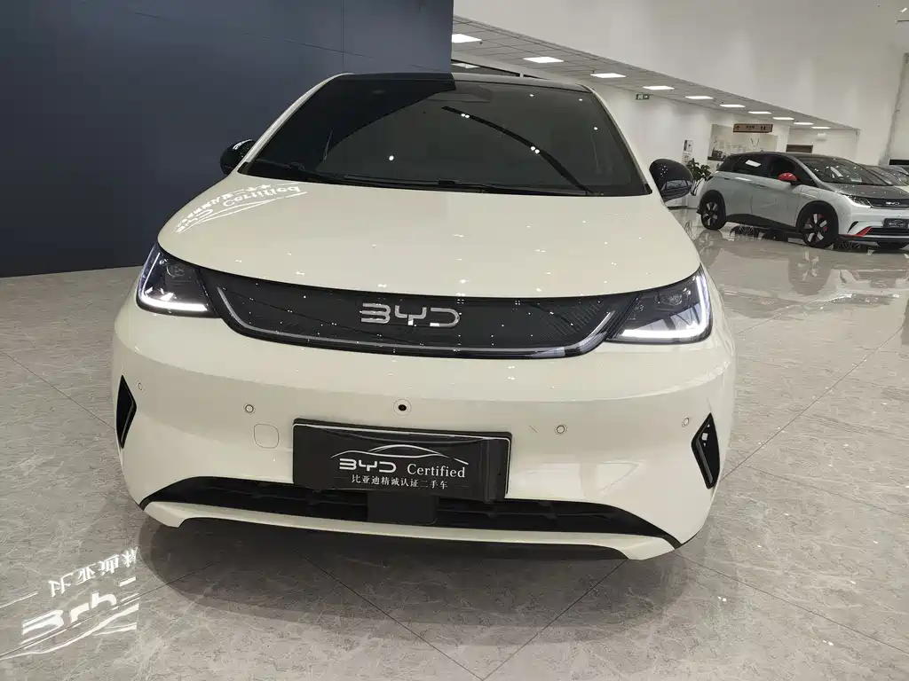 BYD Dolphin 2025