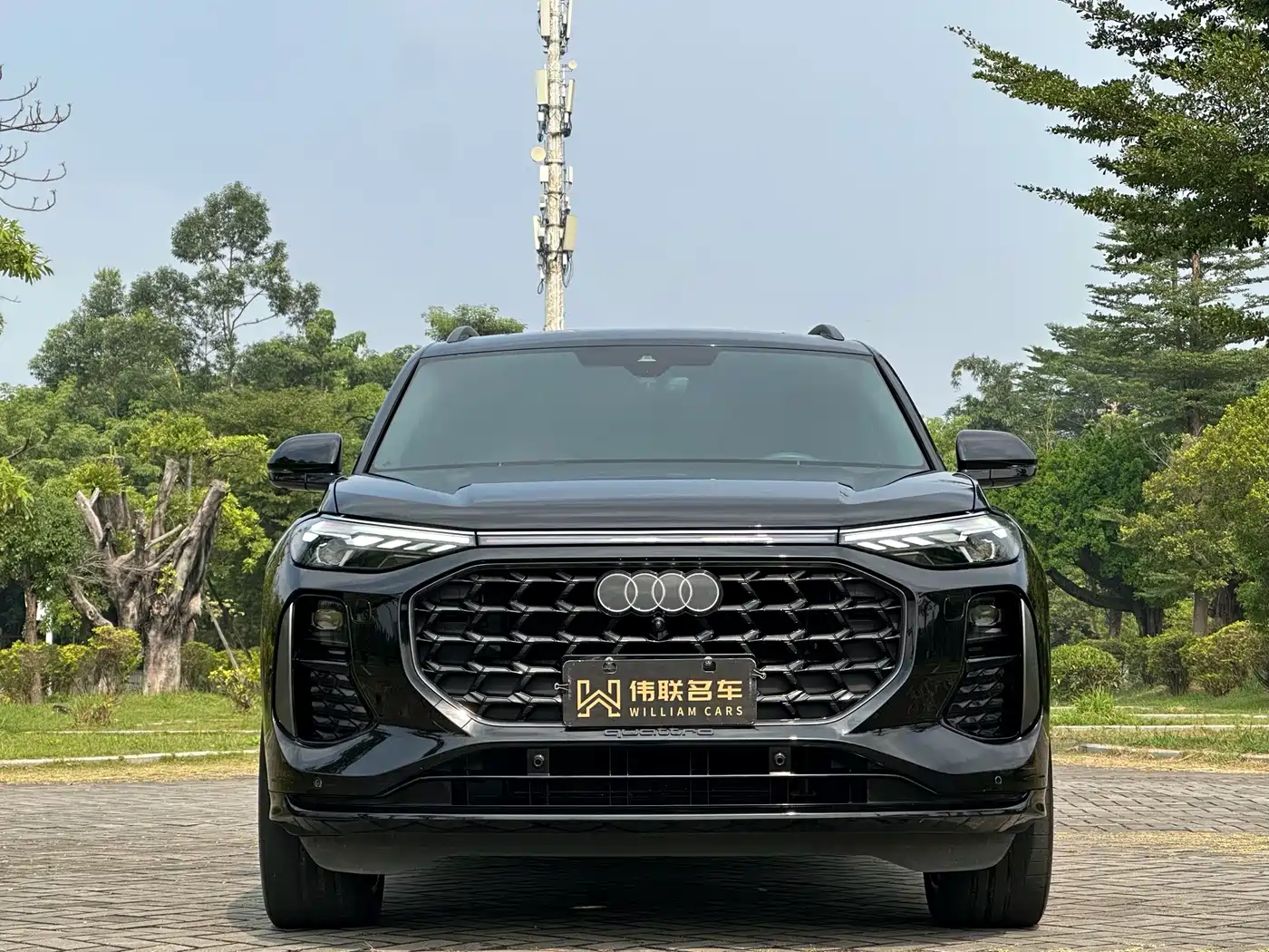 Audi Q6 2024