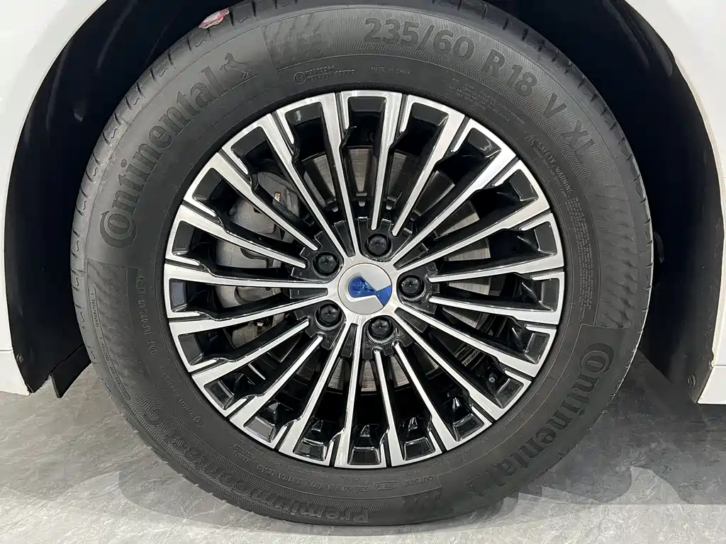 Denza D9 2023