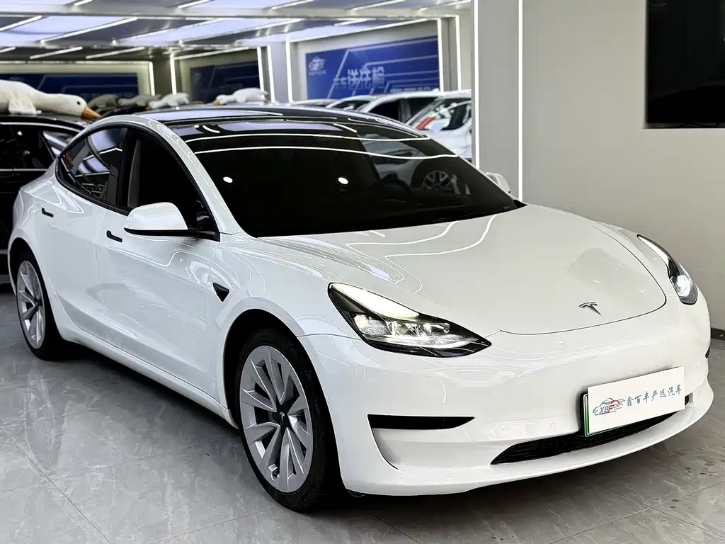 Tesla Model 3 2021