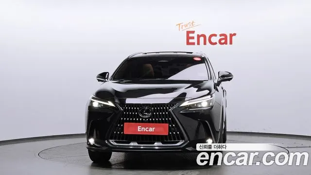 Lexus NX 2023
