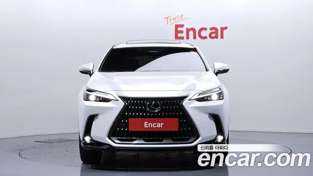 Lexus NX 2024
