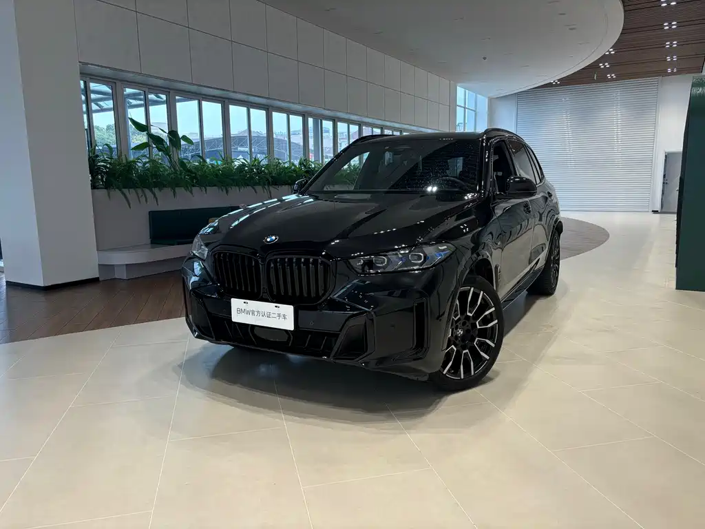 BMW X5 2024
