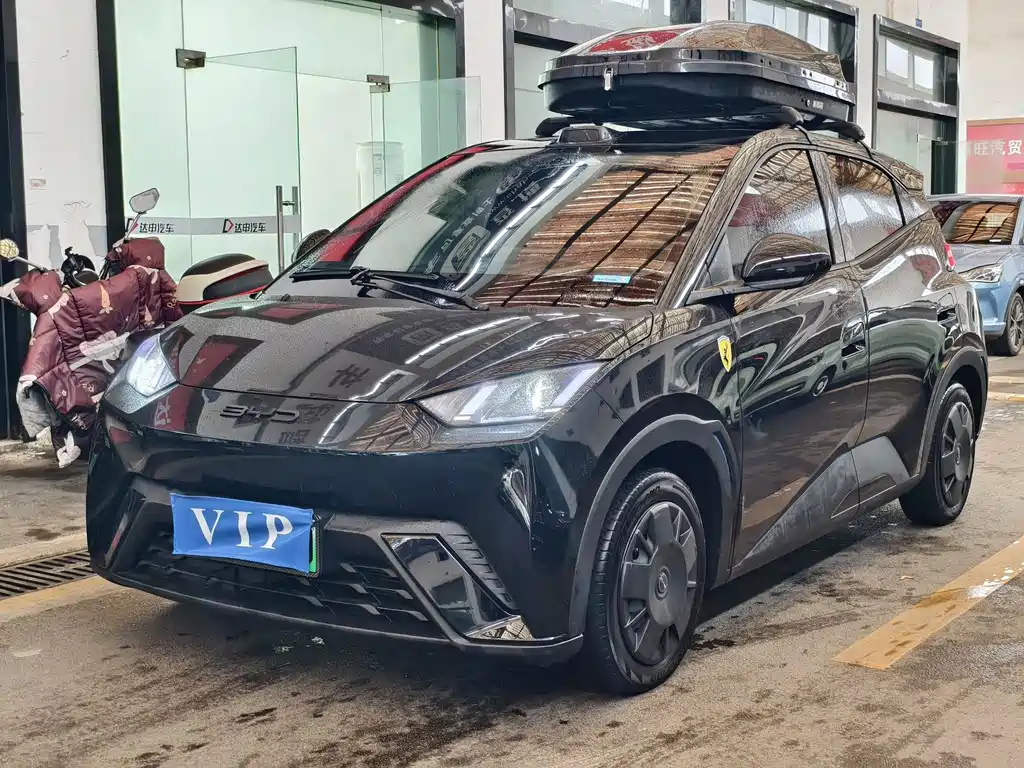 BYD Seagull 2024