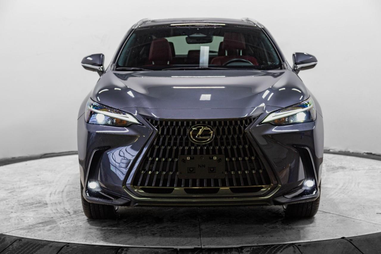 Lexus NX 2022