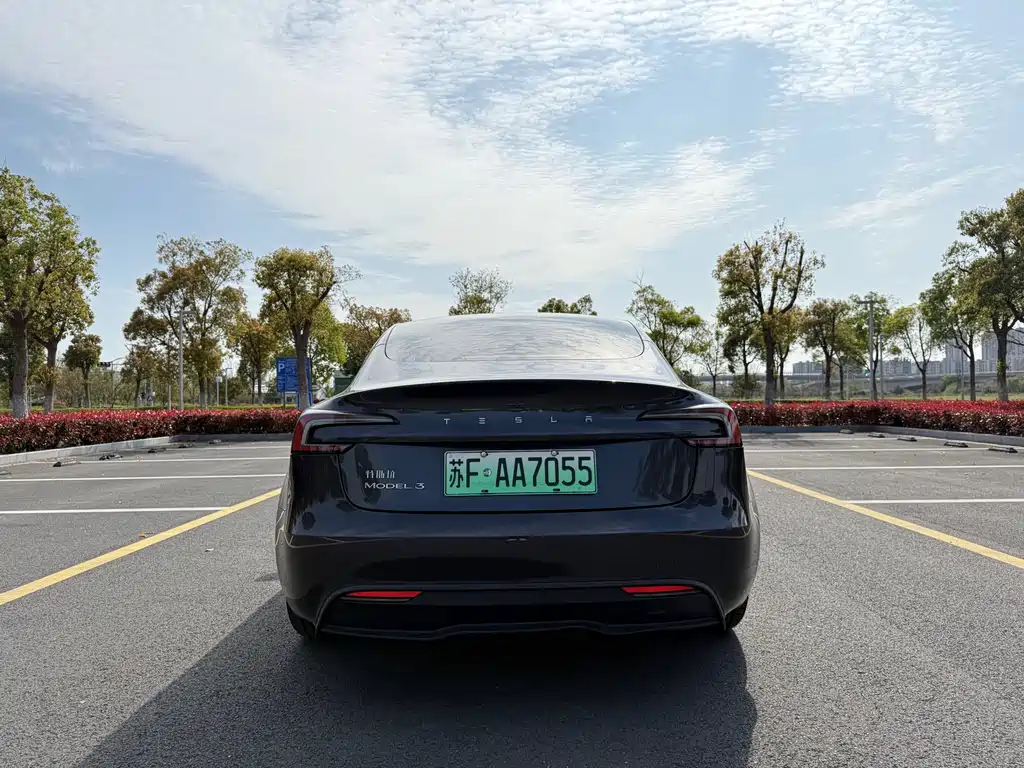 Tesla Model 3 2025