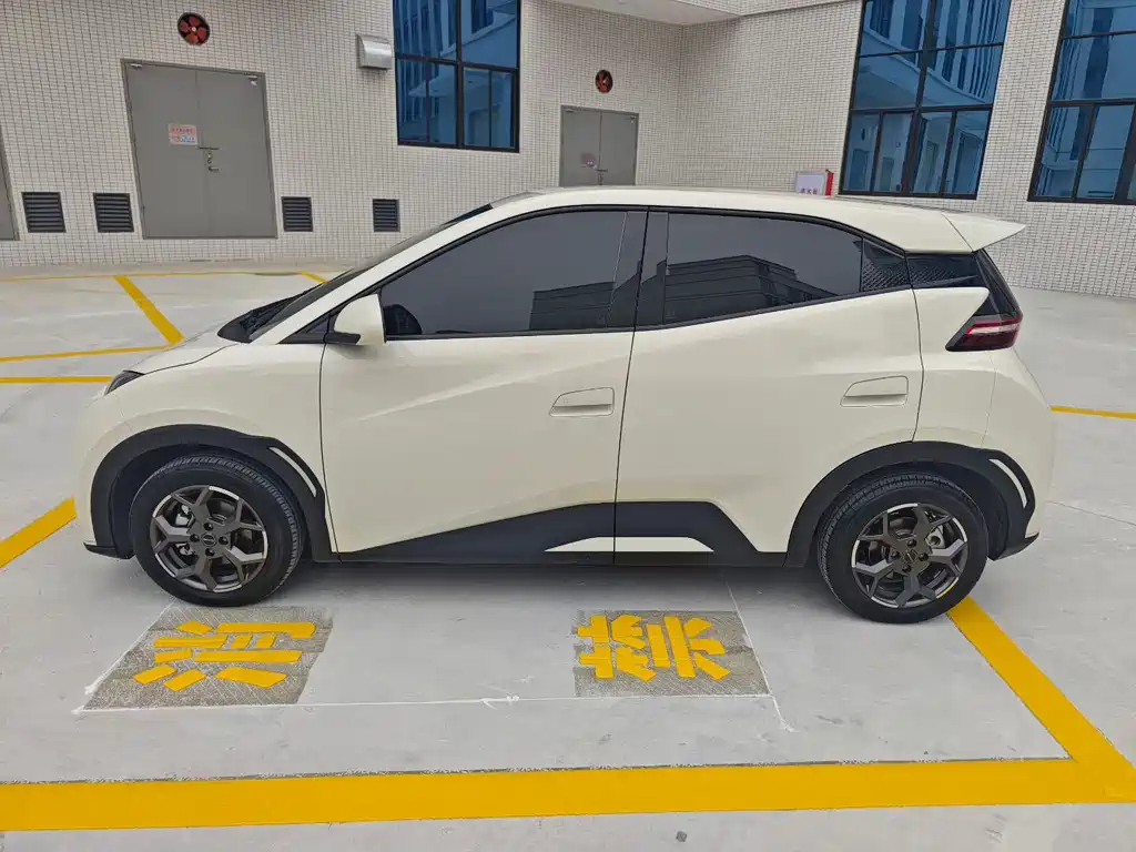 BYD Seagull 2025