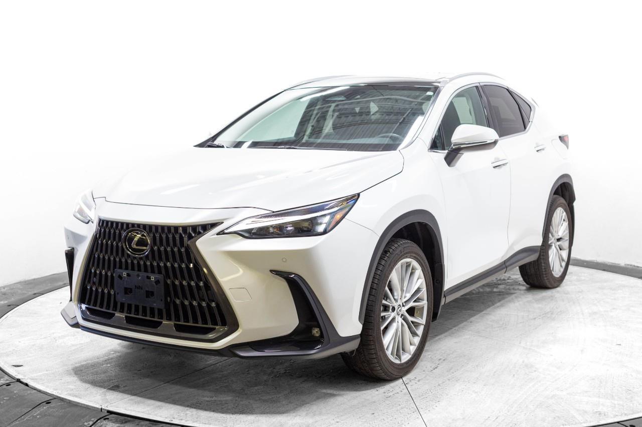 Lexus NX 2024