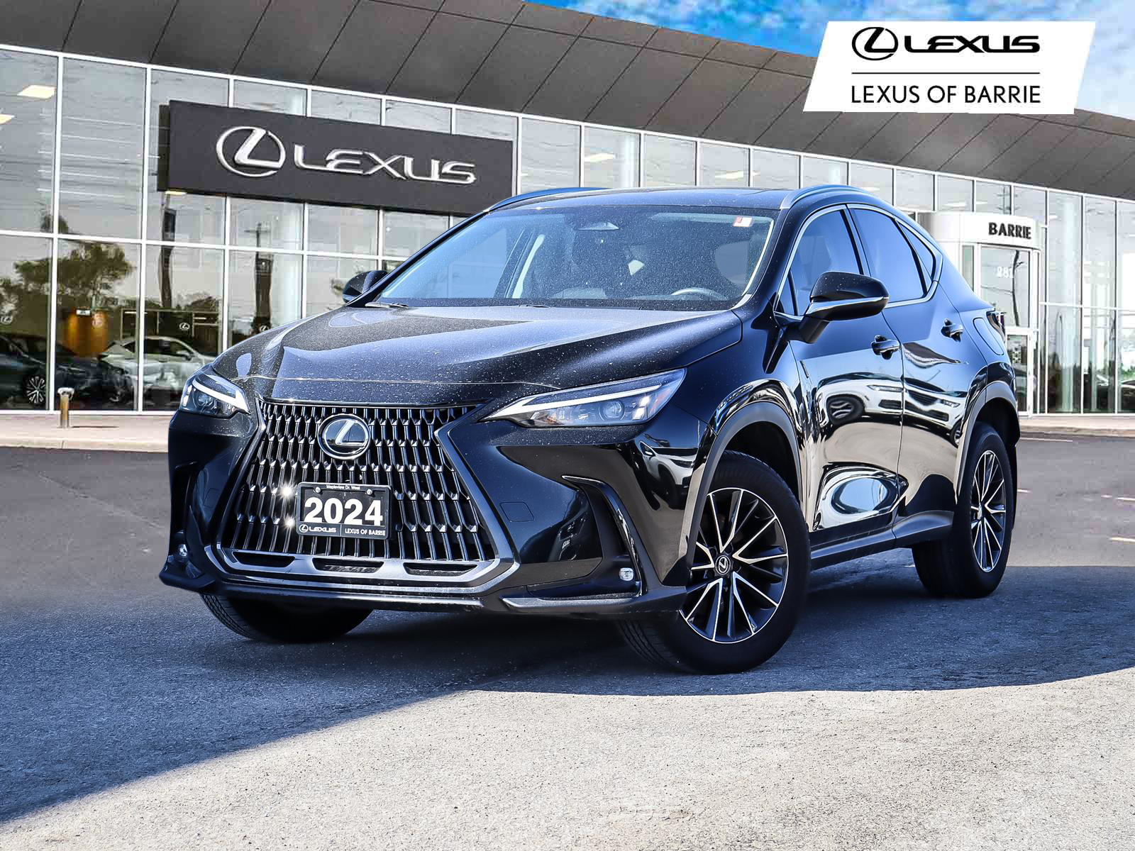 Lexus NX 2024