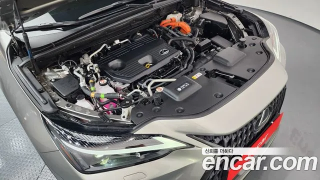 Lexus NX 2023