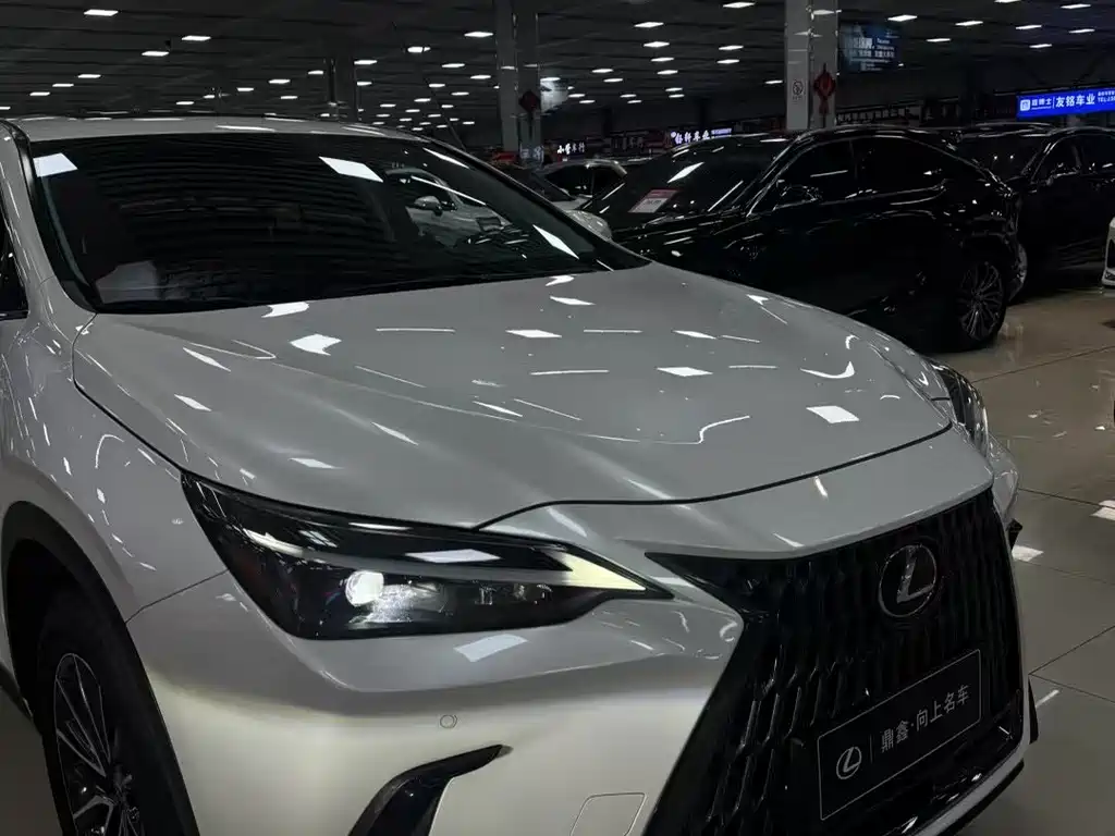 Lexus NX 2022