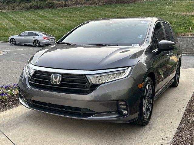 Honda Odyssey 2024