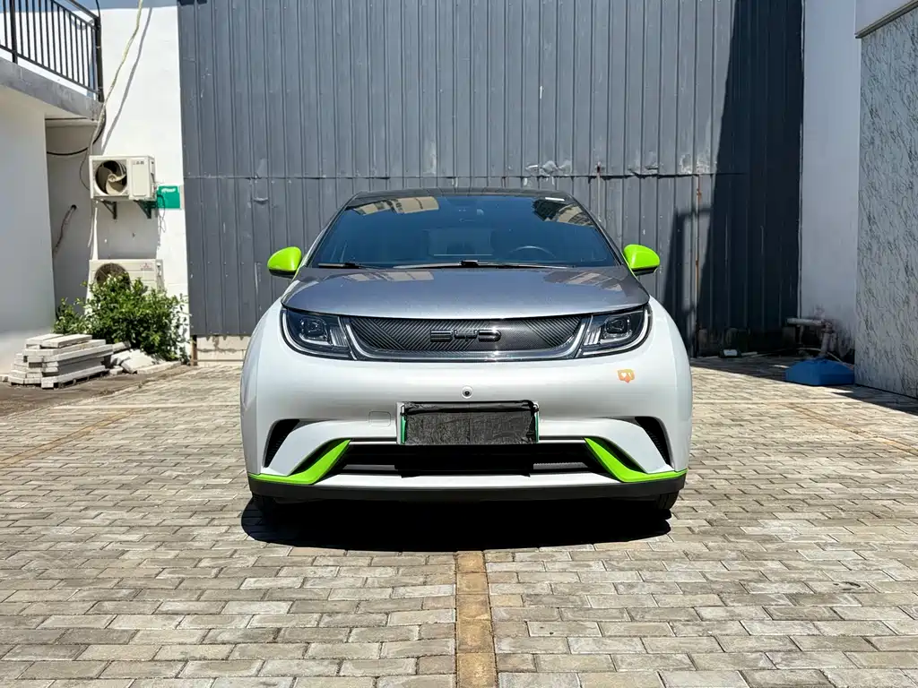 BYD Dolphin 2021