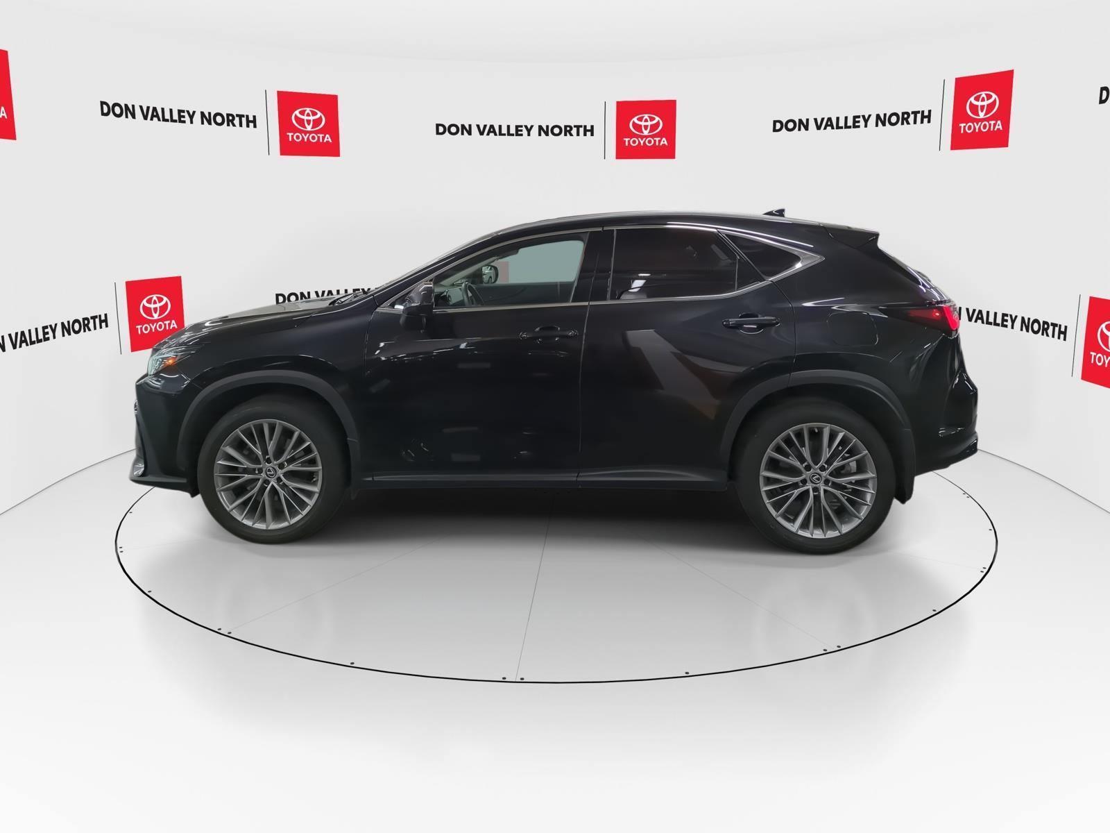 Lexus NX 350 2022