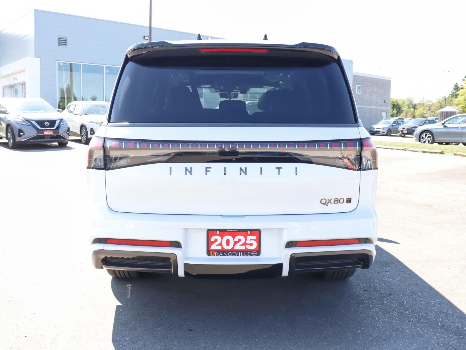 Infiniti QX80 2025