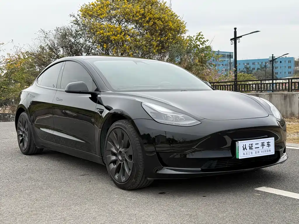 Tesla Model 3 2021
