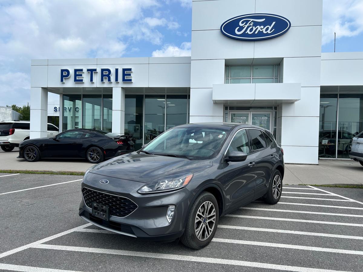 Ford Escape 2022