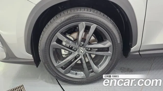 Lexus NX 2024