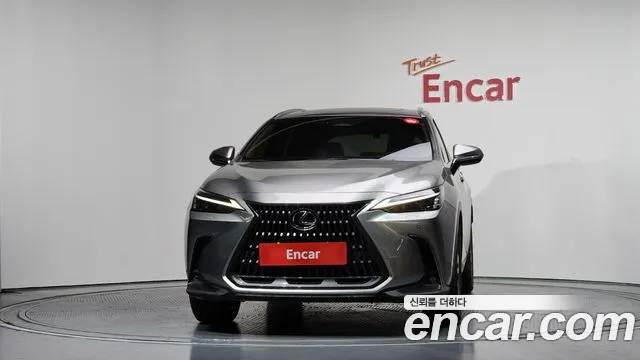 Lexus NX 2023