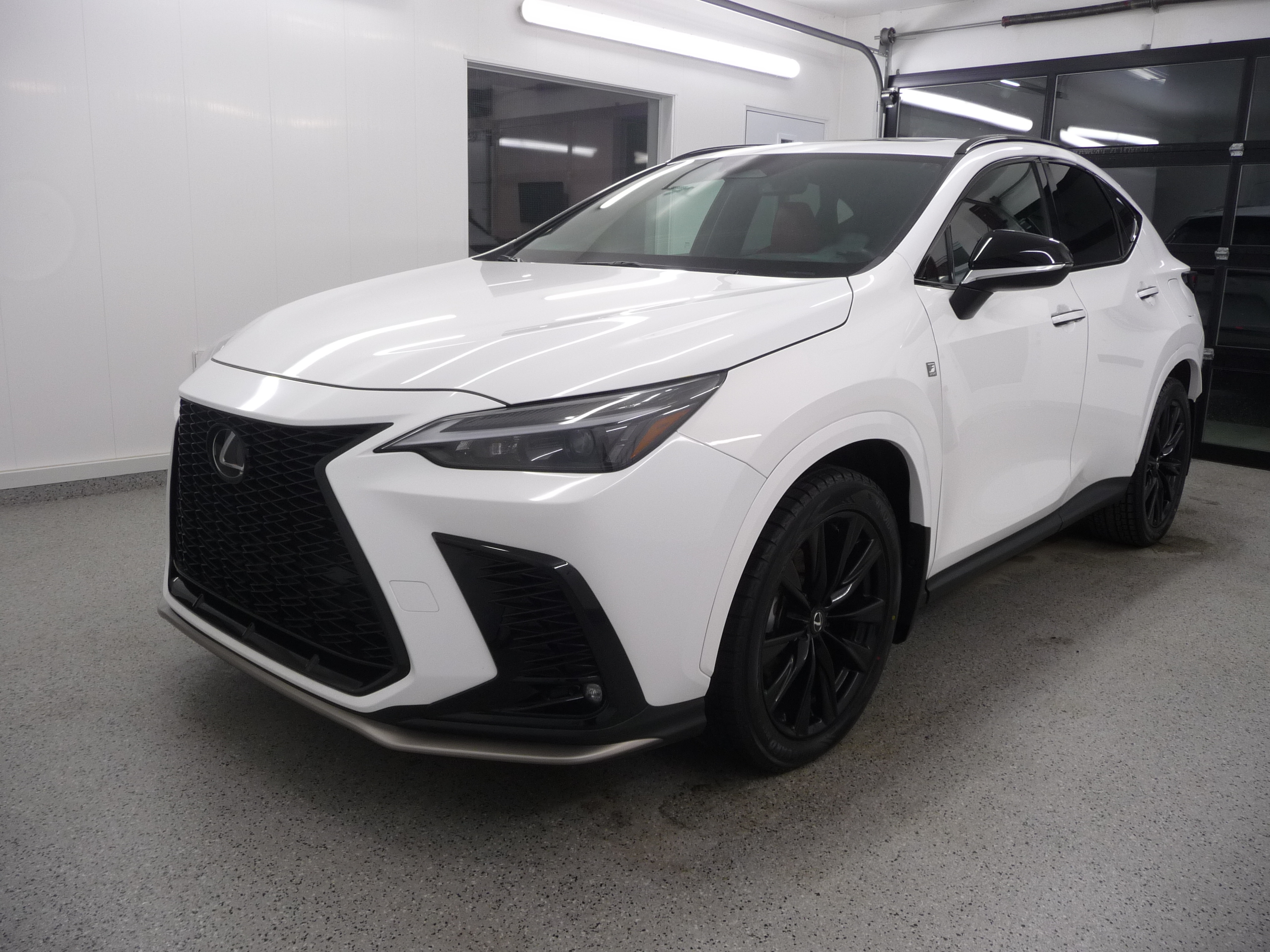 Lexus NX 2024