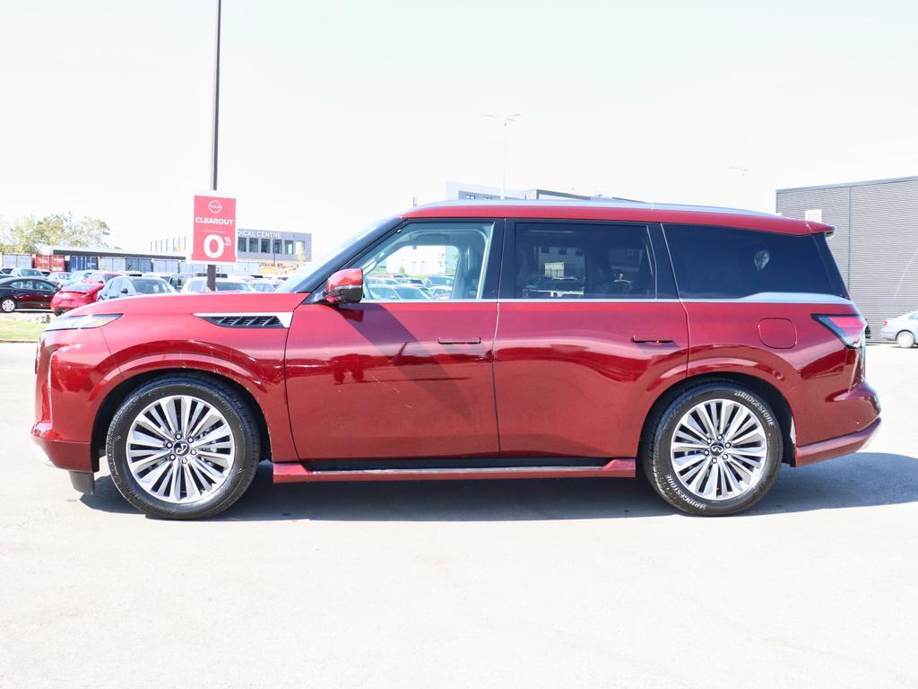 Infiniti QX80 2025