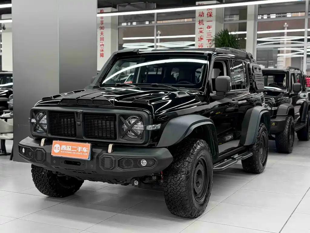 Tank 300 2024