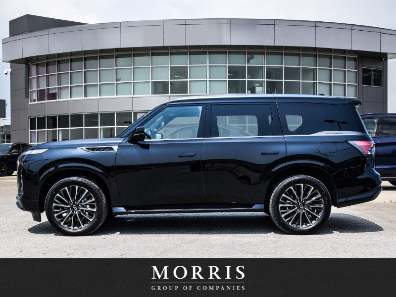 Infiniti QX80 2025