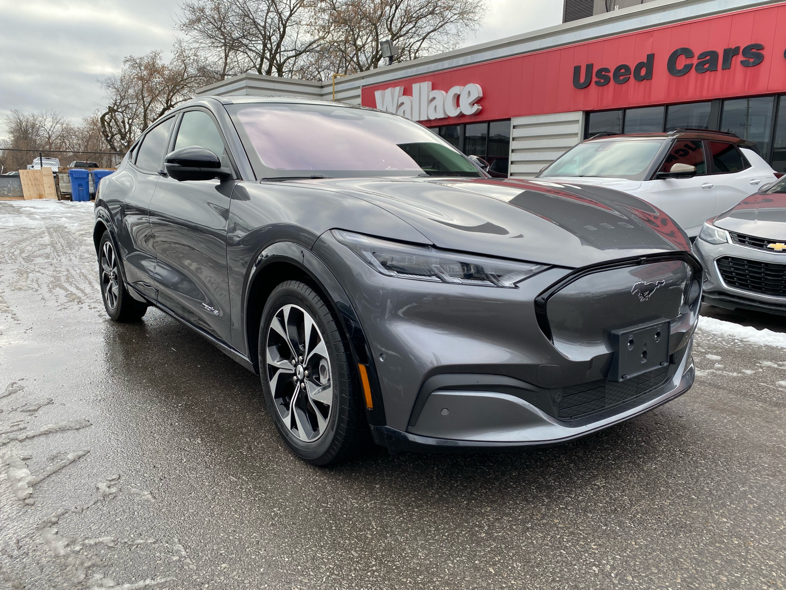 Ford Mustang Mach-E 2021
