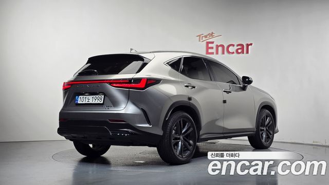 Lexus NX 2023