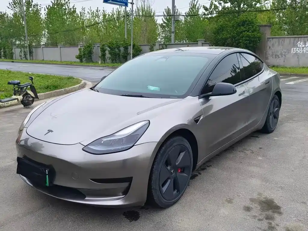 Tesla Model 3 2021