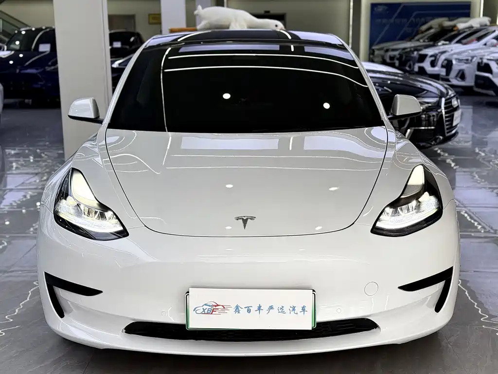Tesla Model 3 2021