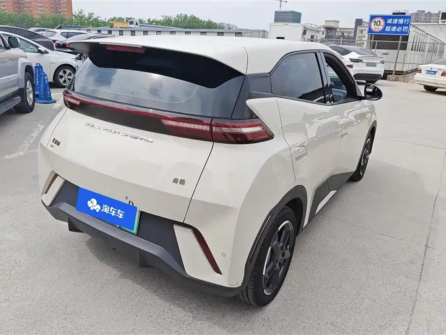 BYD Seagull 2024