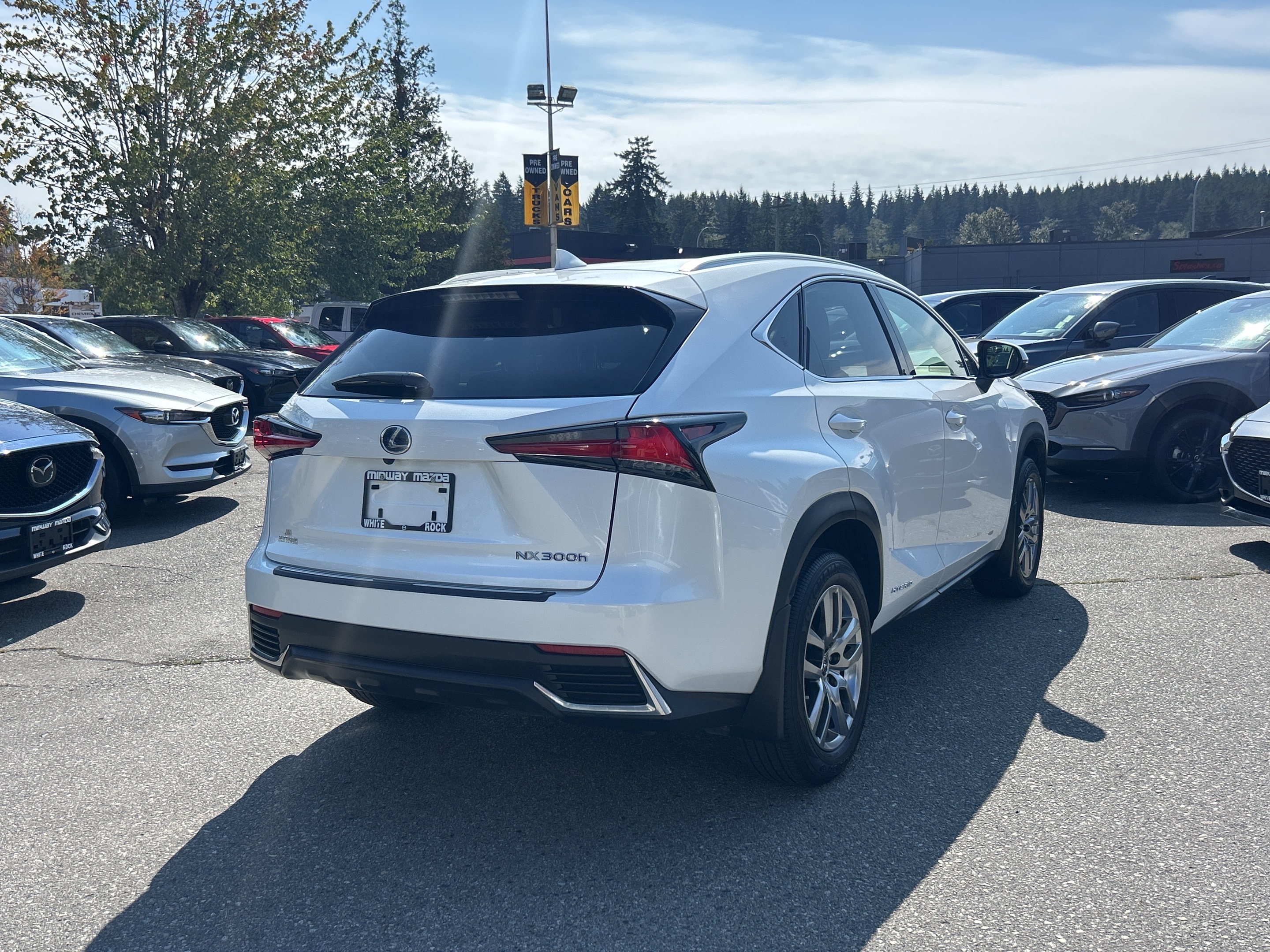 Lexus NX 2021