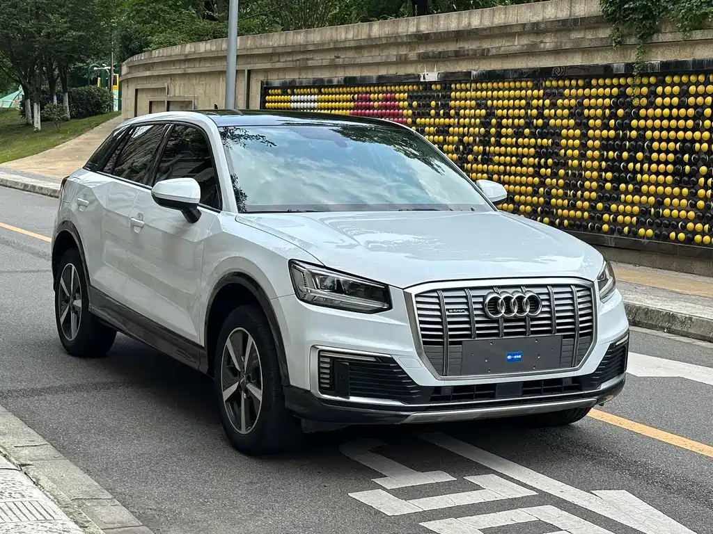 Audi e-tron 2020