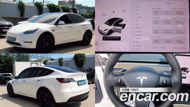 Tesla Model Y 2021