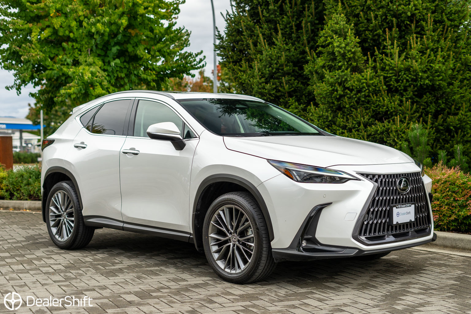 Lexus NX 2022