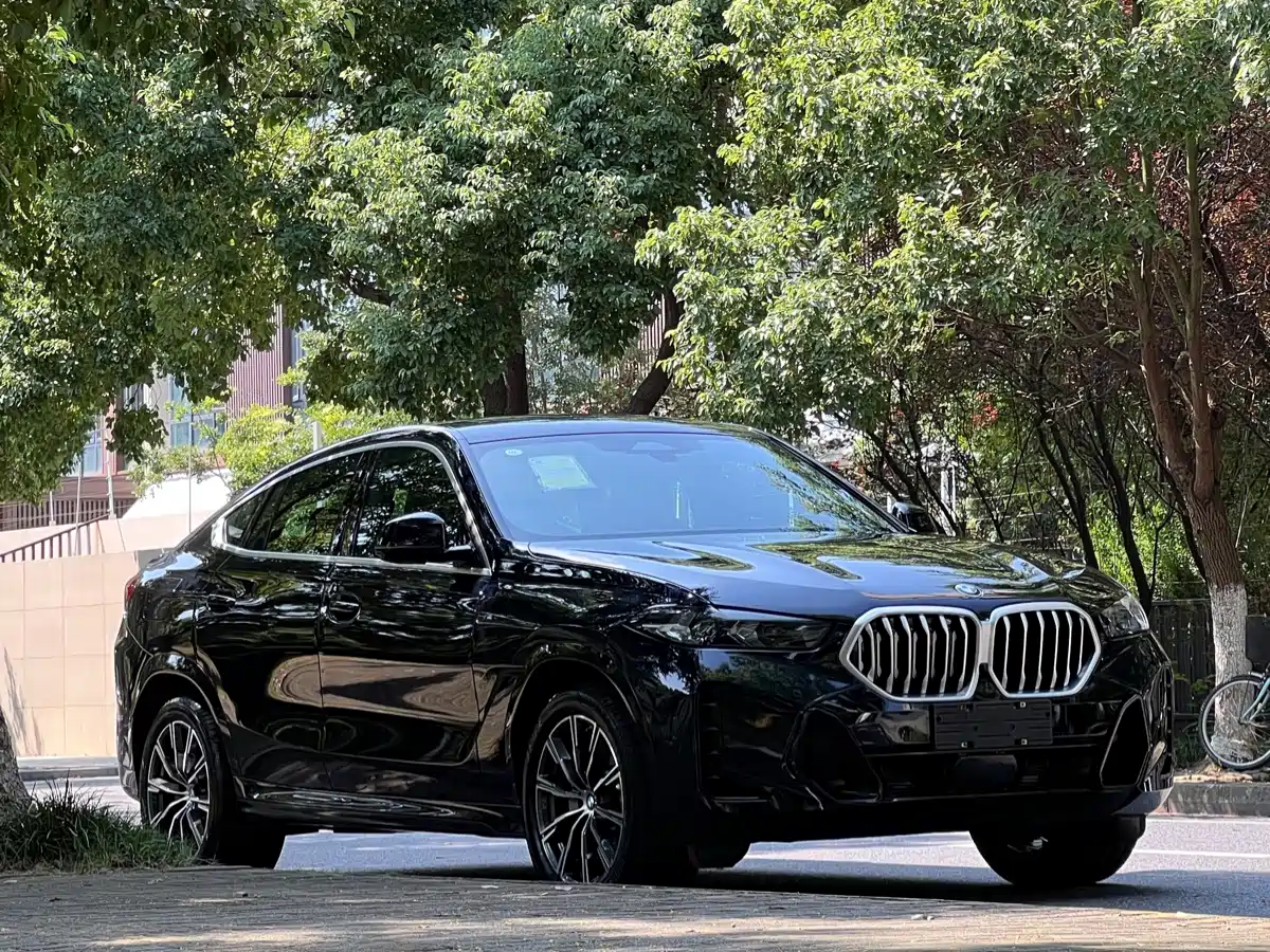 BMW X6 2026