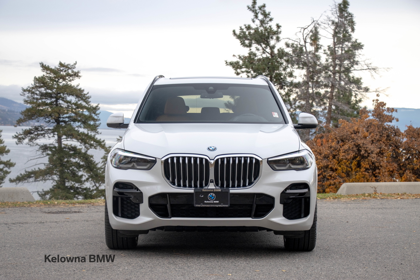 BMW X5 2022