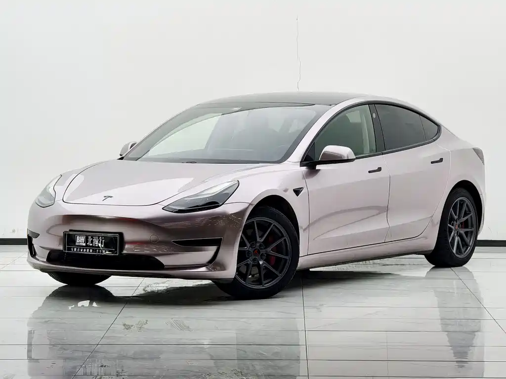 Tesla Model 3 2021