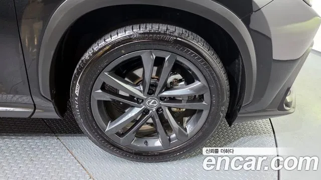 Lexus NX 2023