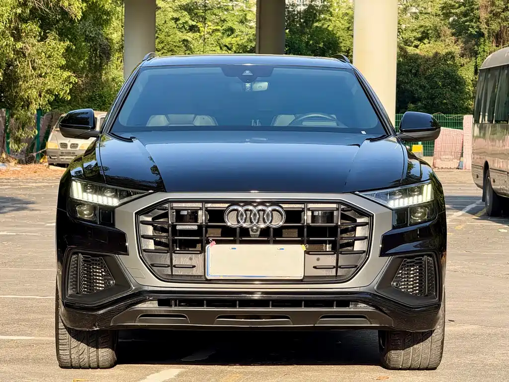 Audi Q8 2020